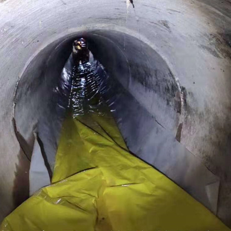 琅琊管道光固化修复